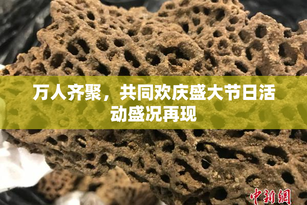 万人齐聚，共同欢庆盛大节日活动盛况再现