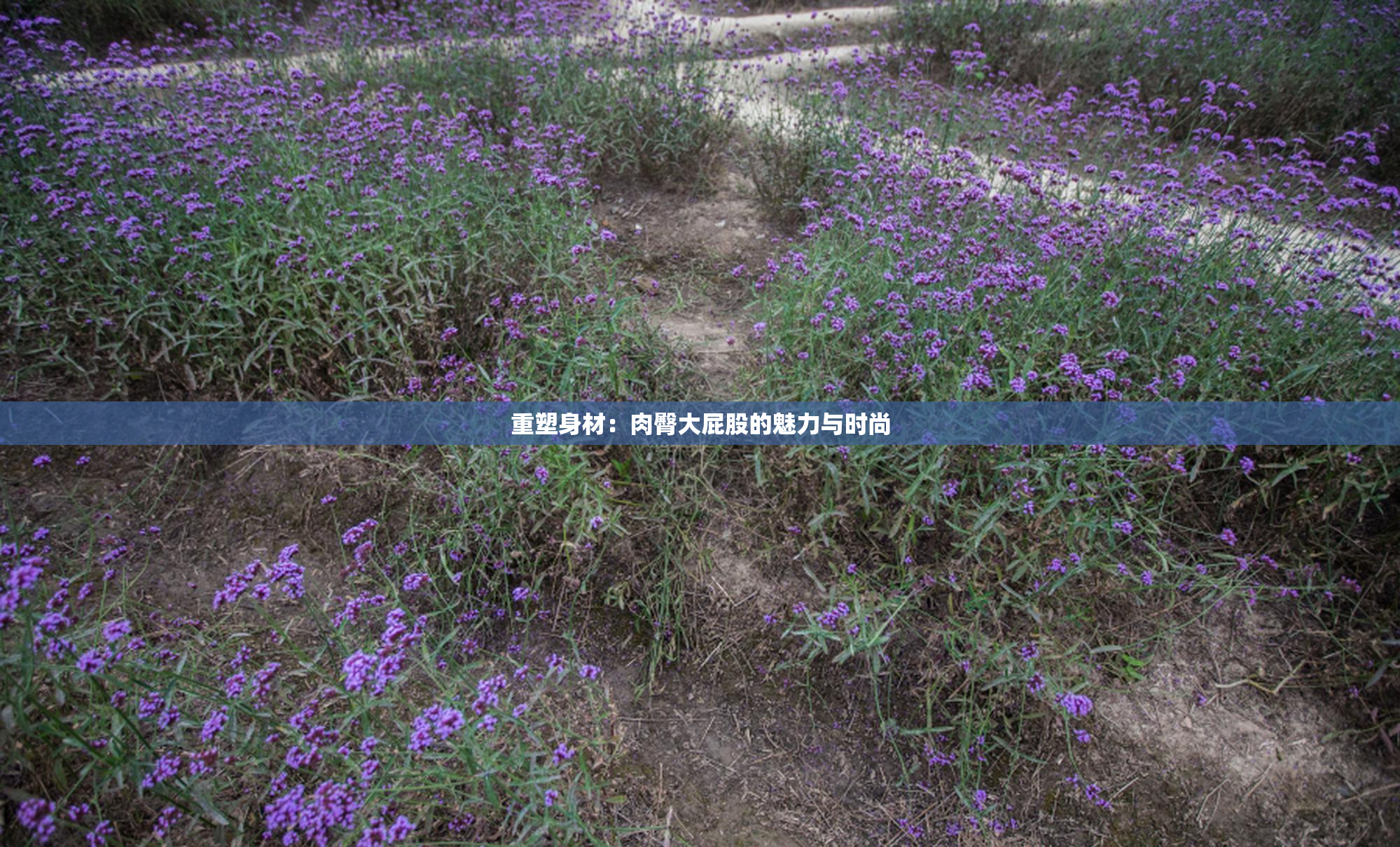 重塑身材：肉臀大屁股的魅力与时尚