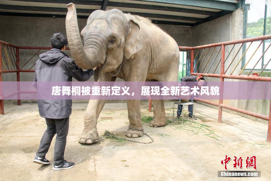 唐舞桐被重新定义，展现全新艺术风貌