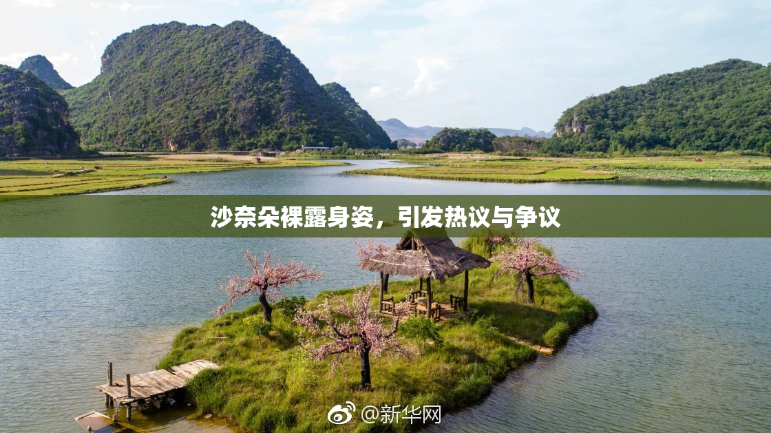 沙奈朵裸露身姿，引发热议与争议