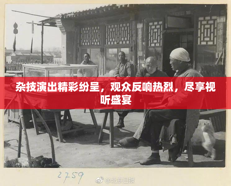 杂技演出精彩纷呈，观众反响热烈，尽享视听盛宴