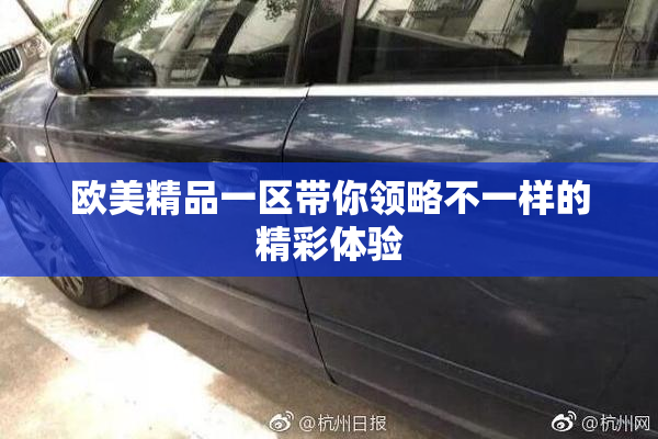 欧美精品一区带你领略不一样的精彩体验