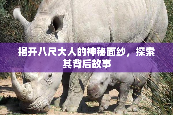 揭开八尺大人的神秘面纱，探索其背后故事