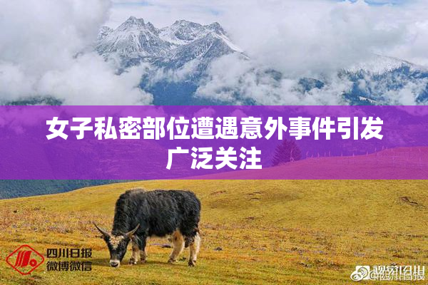 女子私密部位遭遇意外事件引发广泛关注