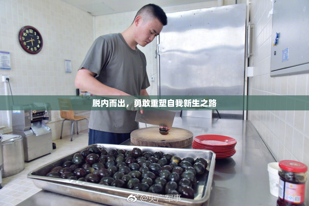 脱内而出，勇敢重塑自我新生之路