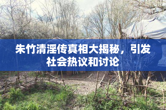 朱竹清淫传真相大揭秘，引发社会热议和讨论