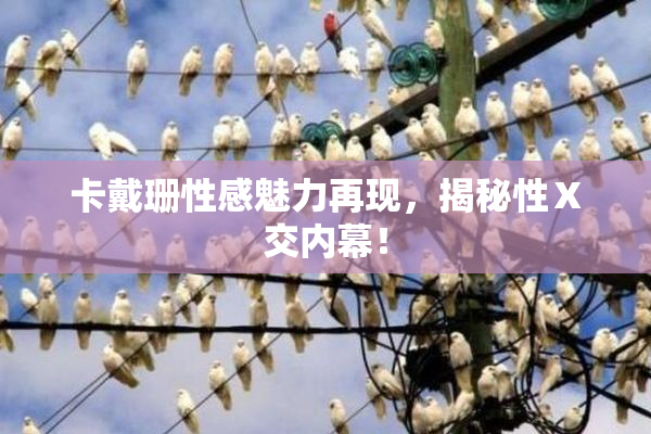 卡戴珊性感魅力再现，揭秘性Ⅹ交内幕！