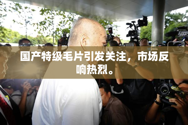 国产特级毛片引发关注，市场反响热烈。