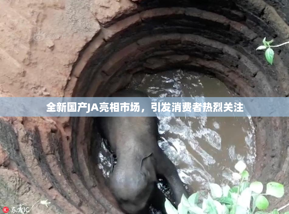 全新国产JA亮相市场，引发消费者热烈关注
