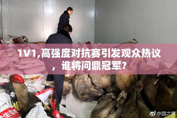 1V1,高强度对抗赛引发观众热议，谁将问鼎冠军？