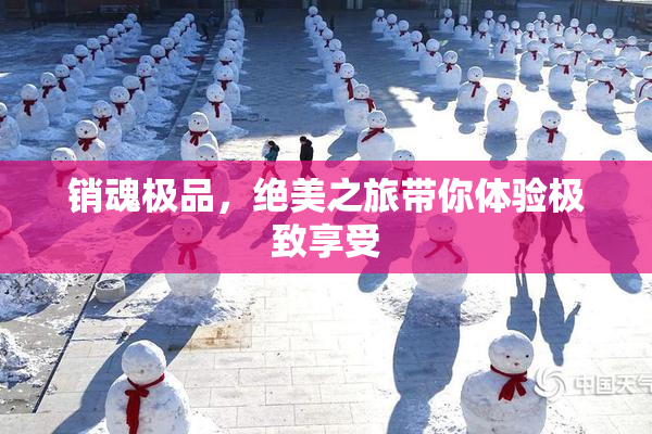 销魂极品，绝美之旅带你体验极致享受