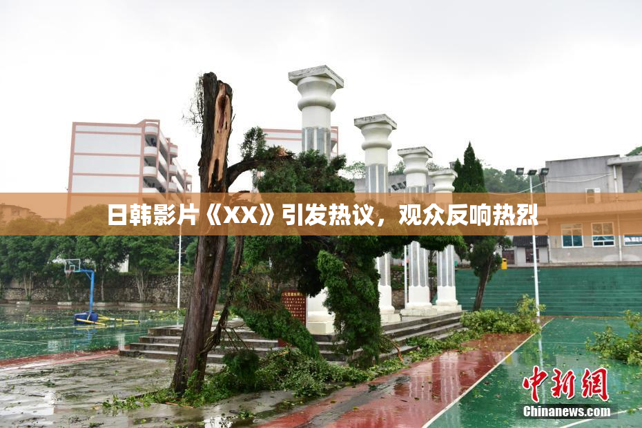 日韩影片《XX》引发热议，观众反响热烈