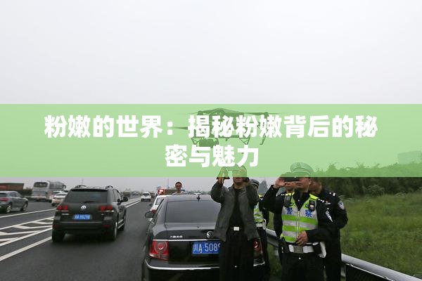 粉嫩的世界：揭秘粉嫩背后的秘密与魅力