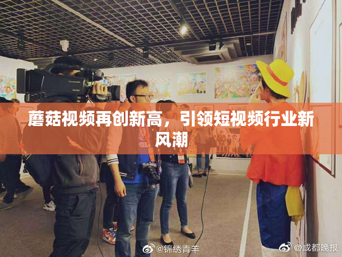 蘑菇视频再创新高，引领短视频行业新风潮