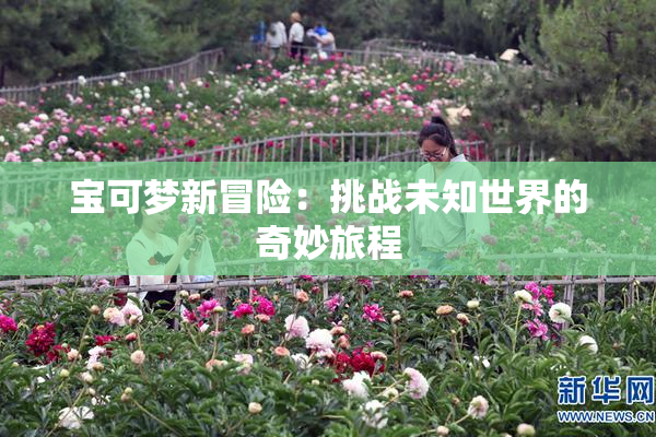 宝可梦新冒险：挑战未知世界的奇妙旅程