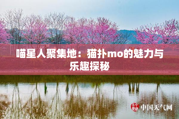 喵星人聚集地：猫扑mo的魅力与乐趣探秘