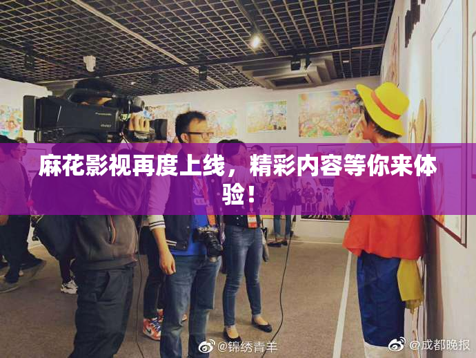 麻花影视再度上线，精彩内容等你来体验！