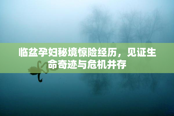 临盆孕妇秘境惊险经历，见证生命奇迹与危机并存