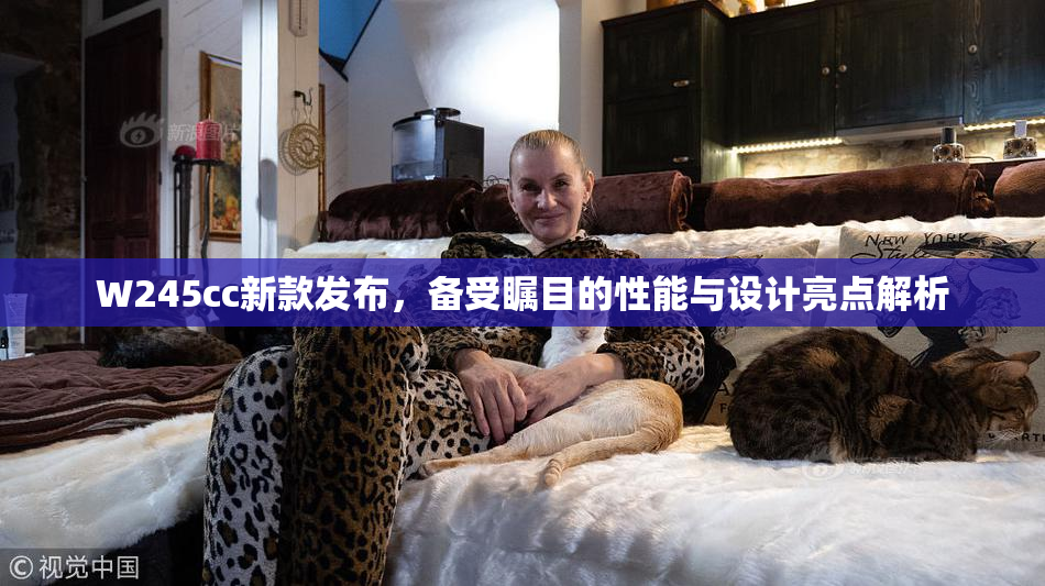 W245cc新款发布，备受瞩目的性能与设计亮点解析