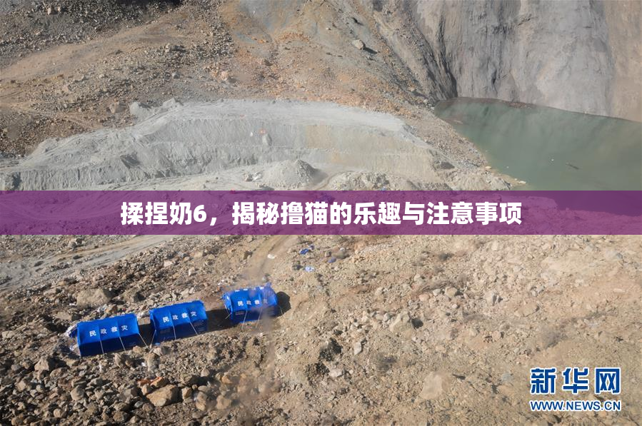 揉捏奶6，揭秘撸猫的乐趣与注意事项