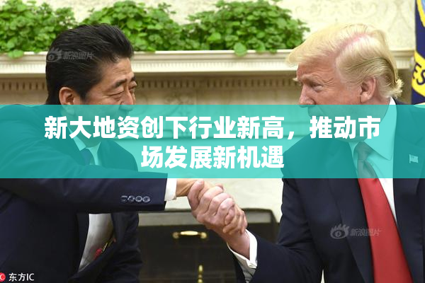 新大地资创下行业新高，推动市场发展新机遇