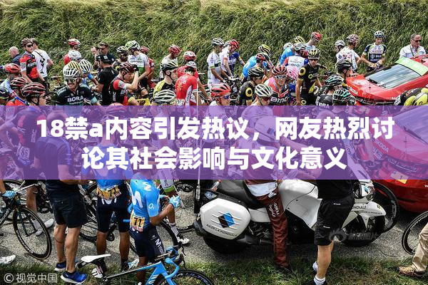 18禁a内容引发热议，网友热烈讨论其社会影响与文化意义