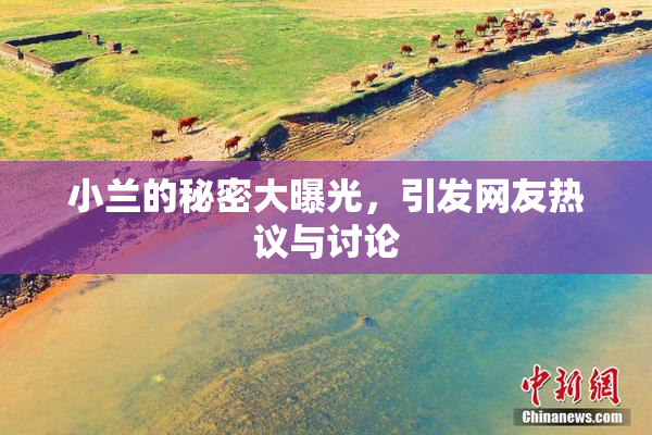 小兰的秘密大曝光，引发网友热议与讨论