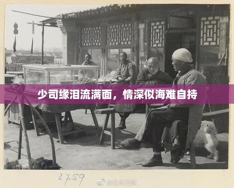 少司缘泪流满面，情深似海难自持