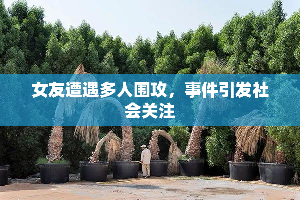 女友遭遇多人围攻，事件引发社会关注