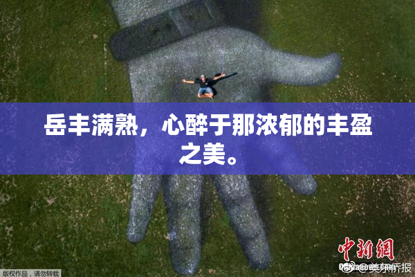 岳丰满熟，心醉于那浓郁的丰盈之美。