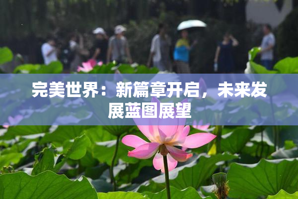 完美世界：新篇章开启，未来发展蓝图展望