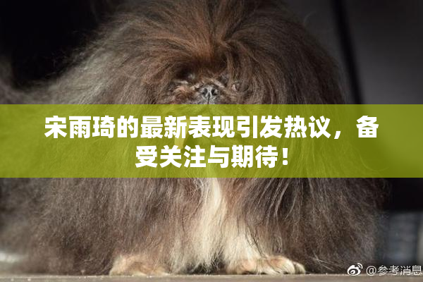 宋雨琦的最新表现引发热议，备受关注与期待！