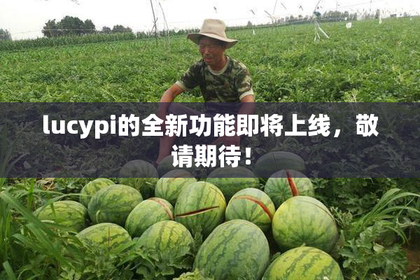 lucypi的全新功能即将上线，敬请期待！