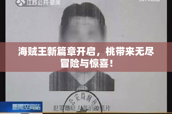 海贼王新篇章开启，桃带来无尽冒险与惊喜！
