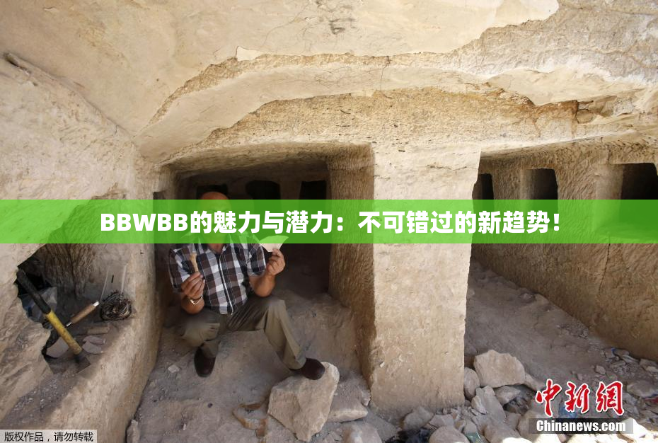 BBWBB的魅力与潜力：不可错过的新趋势！