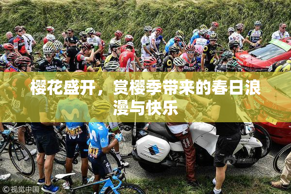 樱花盛开，赏樱季带来的春日浪漫与快乐
