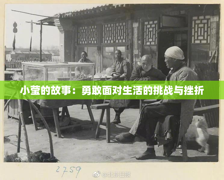 小莹的故事：勇敢面对生活的挑战与挫折