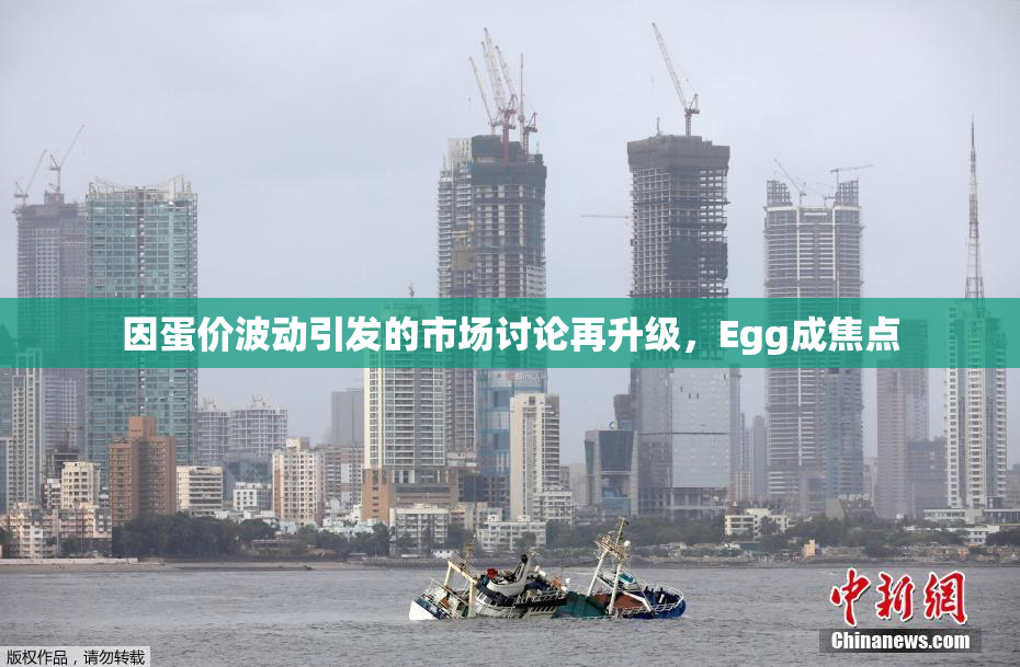 因蛋价波动引发的市场讨论再升级，Egg成焦点