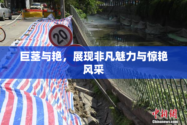 巨茎与艳，展现非凡魅力与惊艳风采