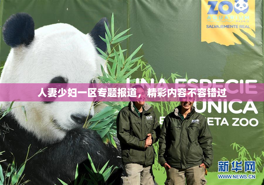 人妻少妇一区专题报道，精彩内容不容错过