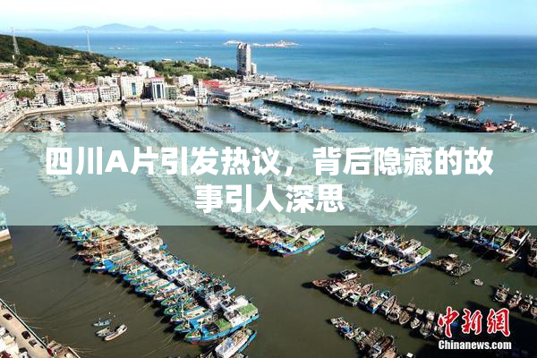 四川A片引发热议，背后隐藏的故事引人深思