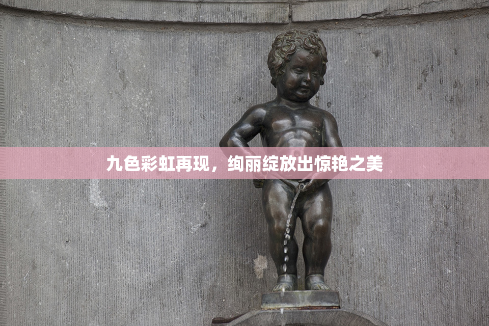 九色彩虹再现，绚丽绽放出惊艳之美