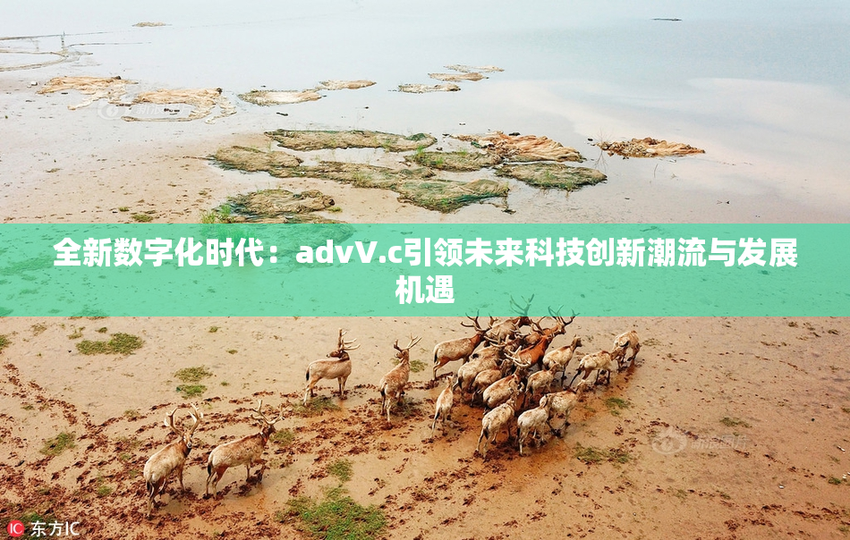 全新数字化时代：advV.c引领未来科技创新潮流与发展机遇