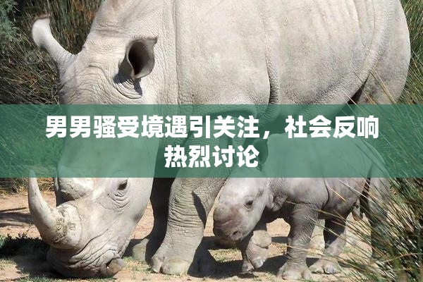 男男骚受境遇引关注，社会反响热烈讨论