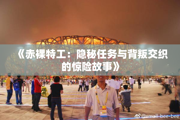 《赤裸特工：隐秘任务与背叛交织的惊险故事》