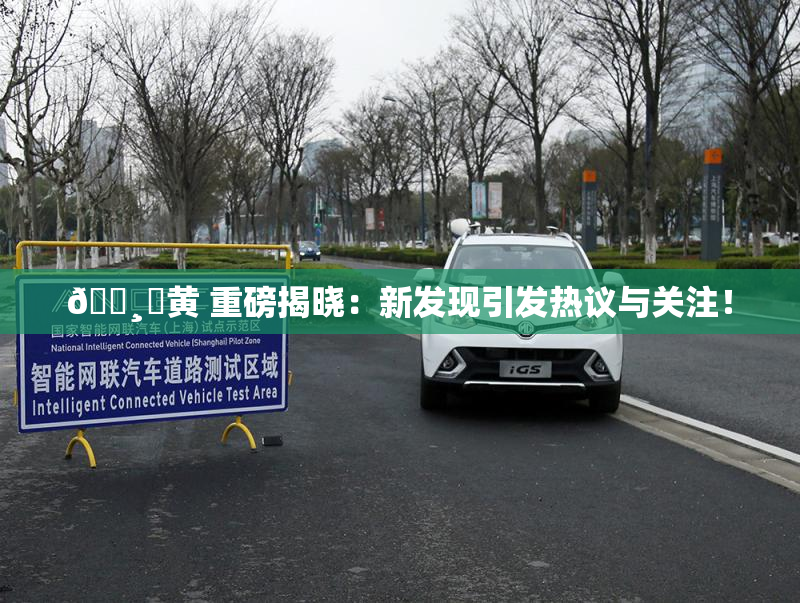 🌸‌黄 重磅揭晓：新发现引发热议与关注！
