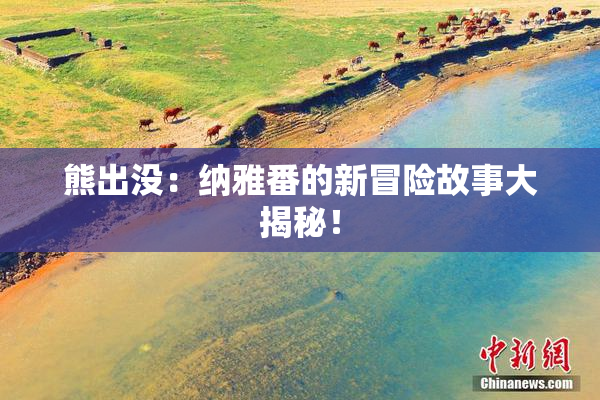 熊出没：纳雅番的新冒险故事大揭秘！