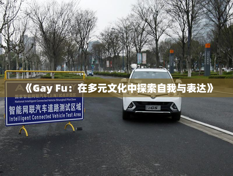 《Gay Fu：在多元文化中探索自我与表达》