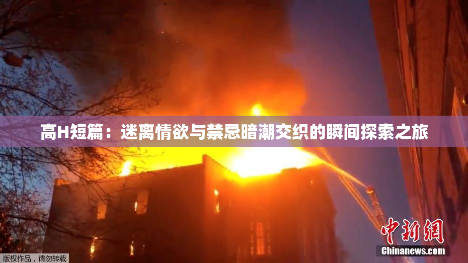 高H短篇：迷离情欲与禁忌暗潮交织的瞬间探索之旅