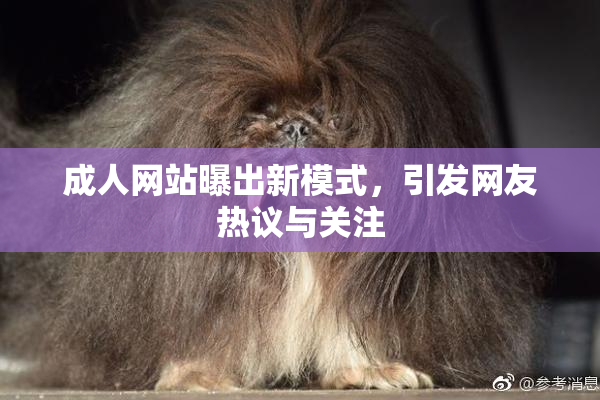 成人网站曝出新模式，引发网友热议与关注